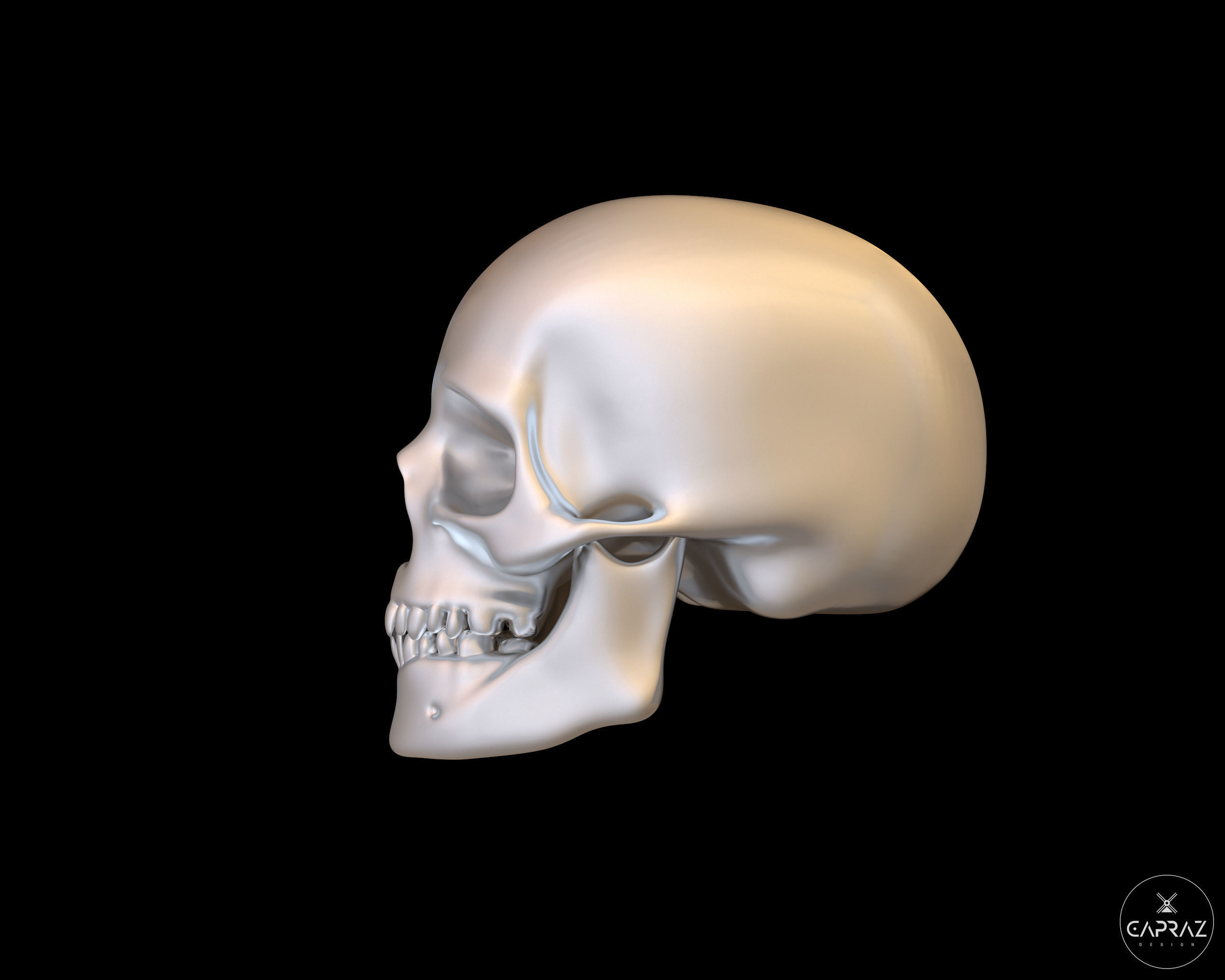 3D Printable Skull - rc 3D print model_6