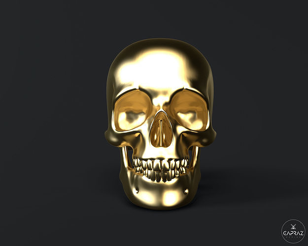 3D Printable Skull - rc 3D print model