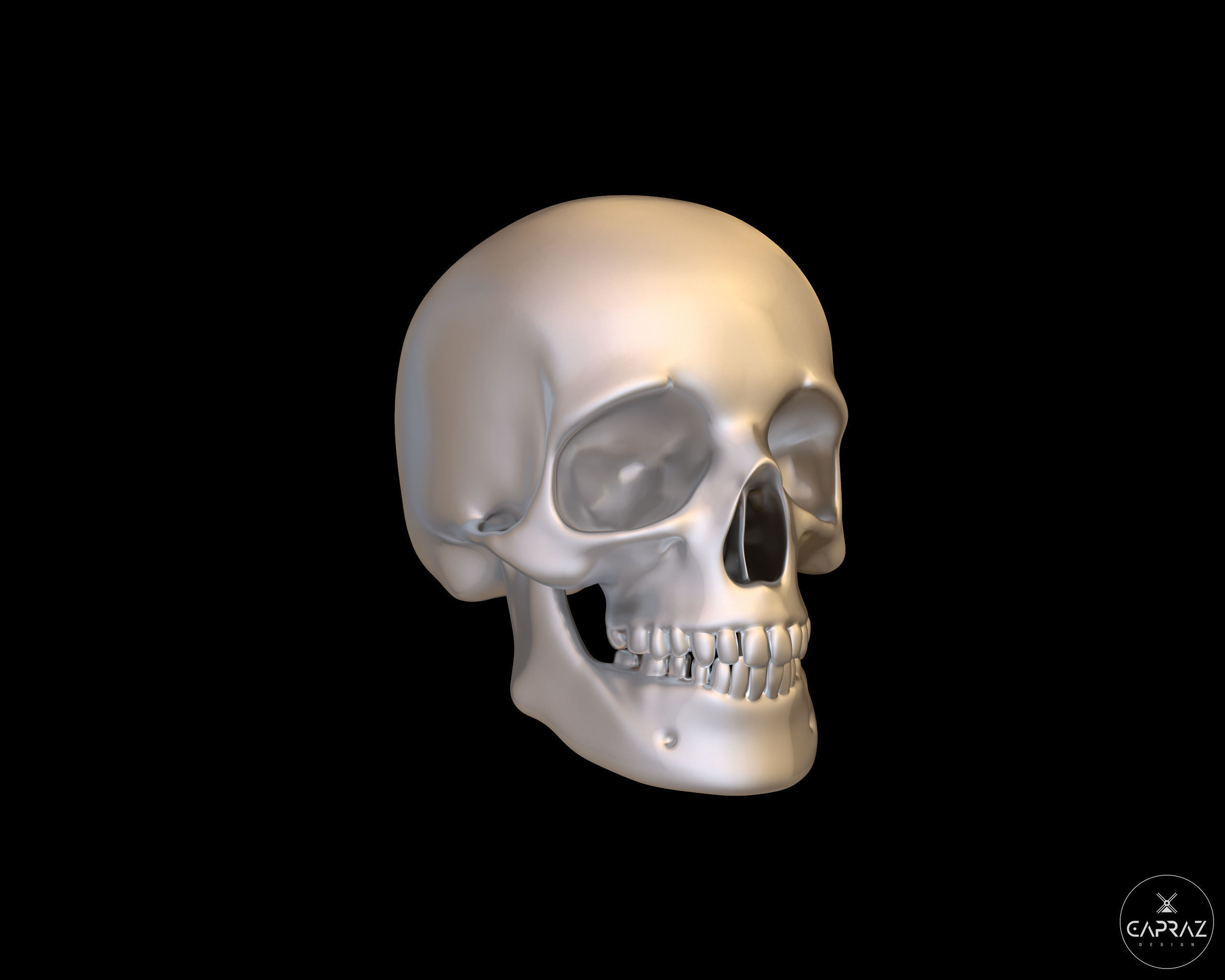3D Printable Skull - rc 3D print model_4