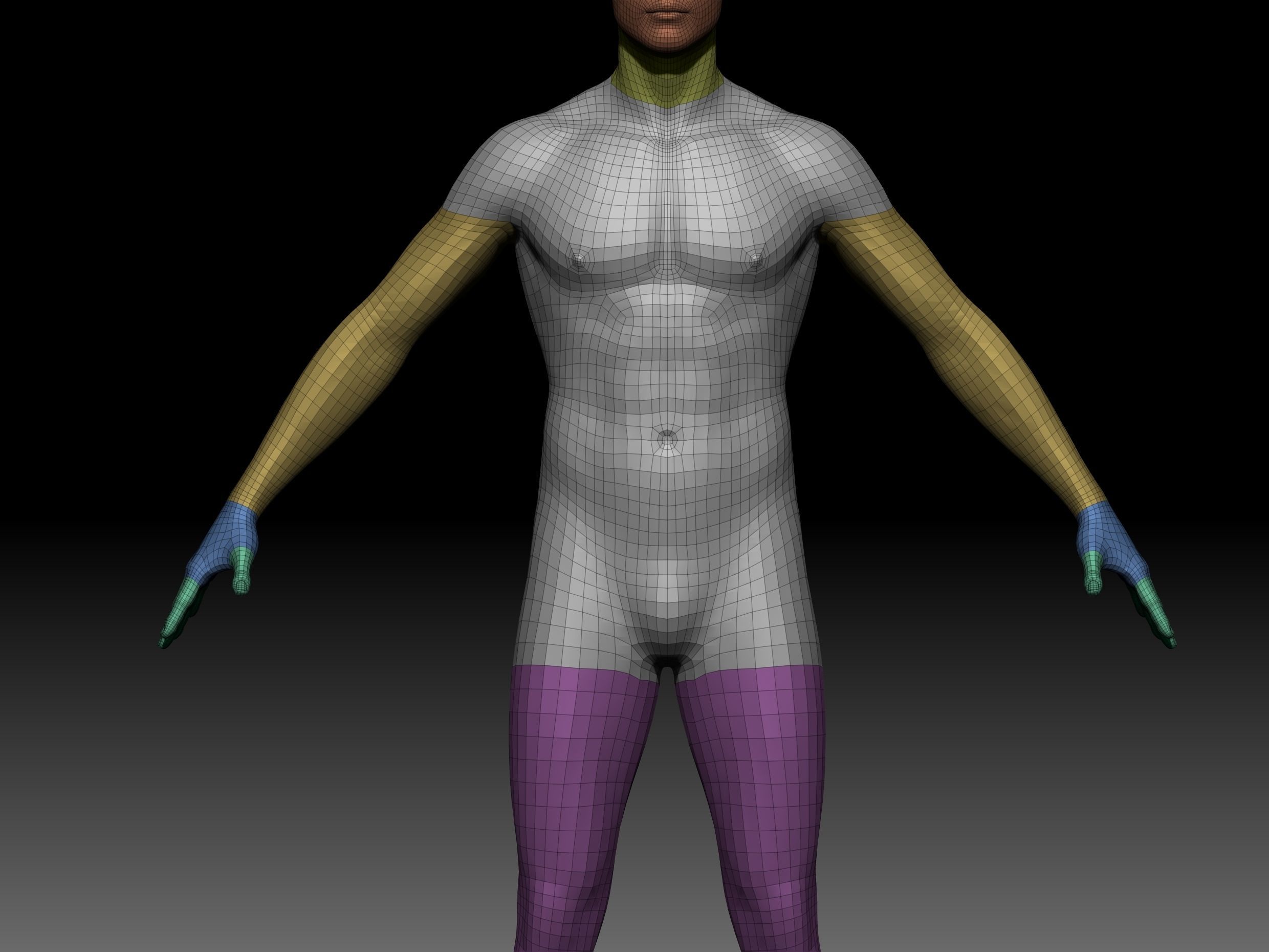 Body Parts BaseMeshes 3D model_21