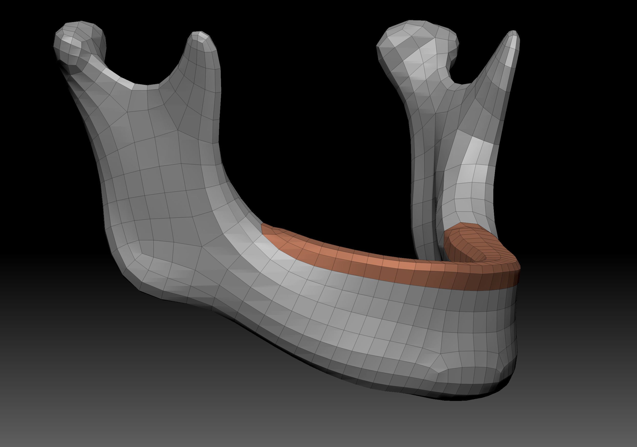 Body Parts BaseMeshes 3D model_12