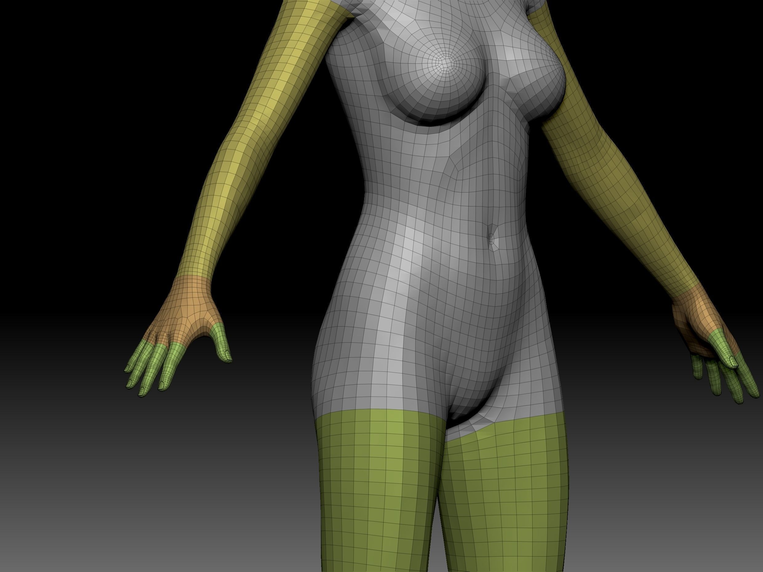 Body Parts BaseMeshes 3D model_16