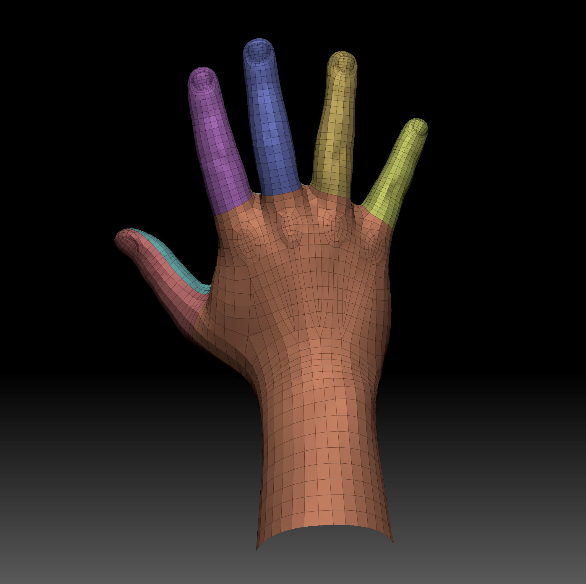 Body Parts BaseMeshes 3D model_3