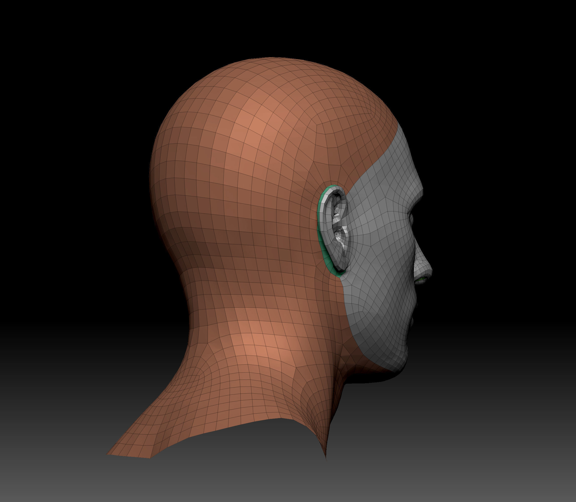 Body Parts BaseMeshes 3D model_6