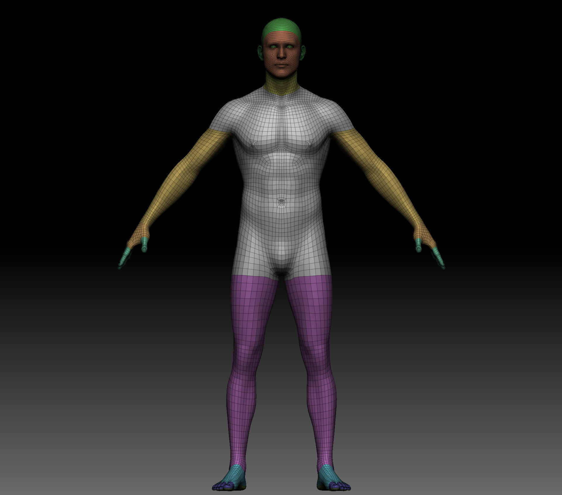 Body Parts BaseMeshes 3D model_19