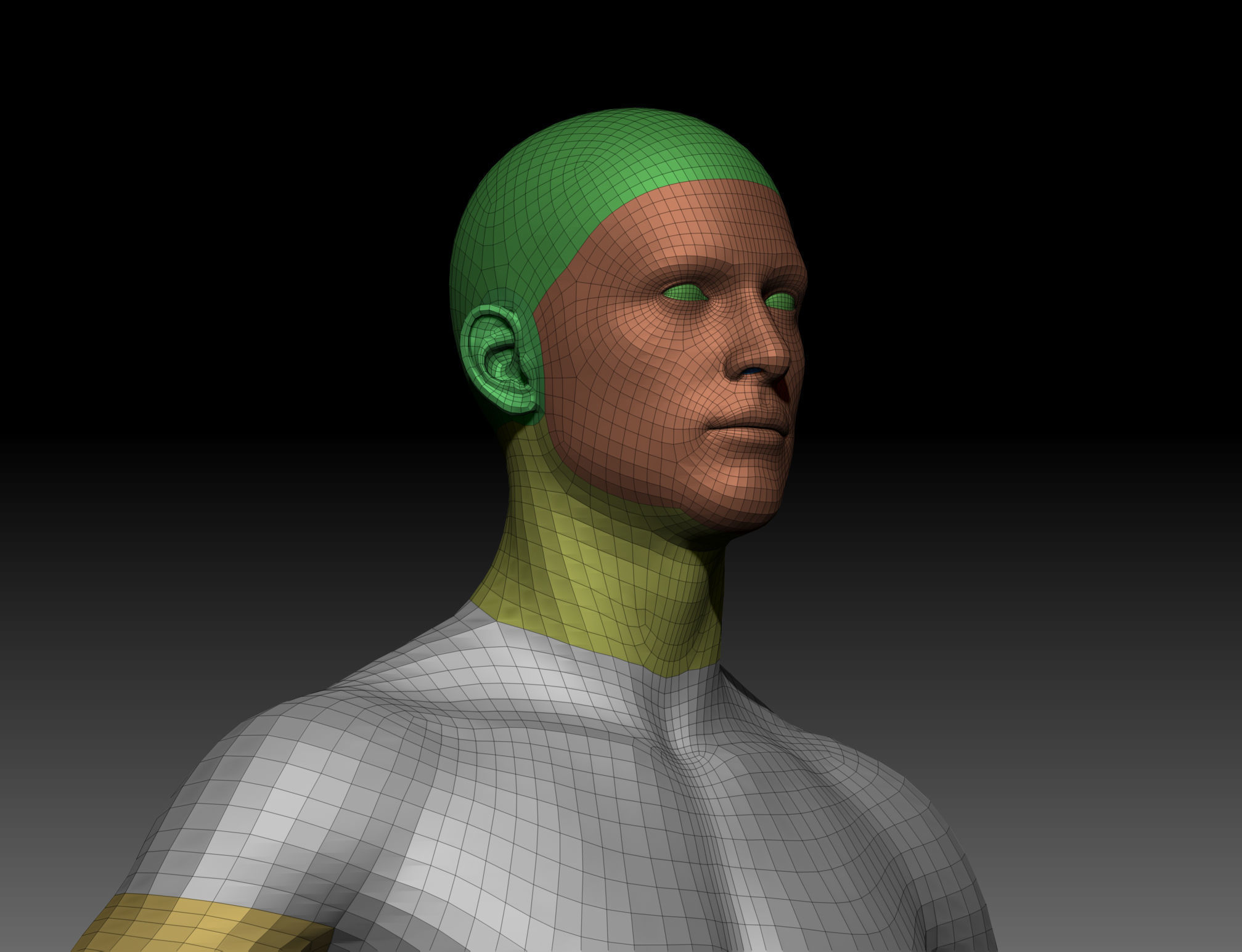 Body Parts BaseMeshes 3D model_20