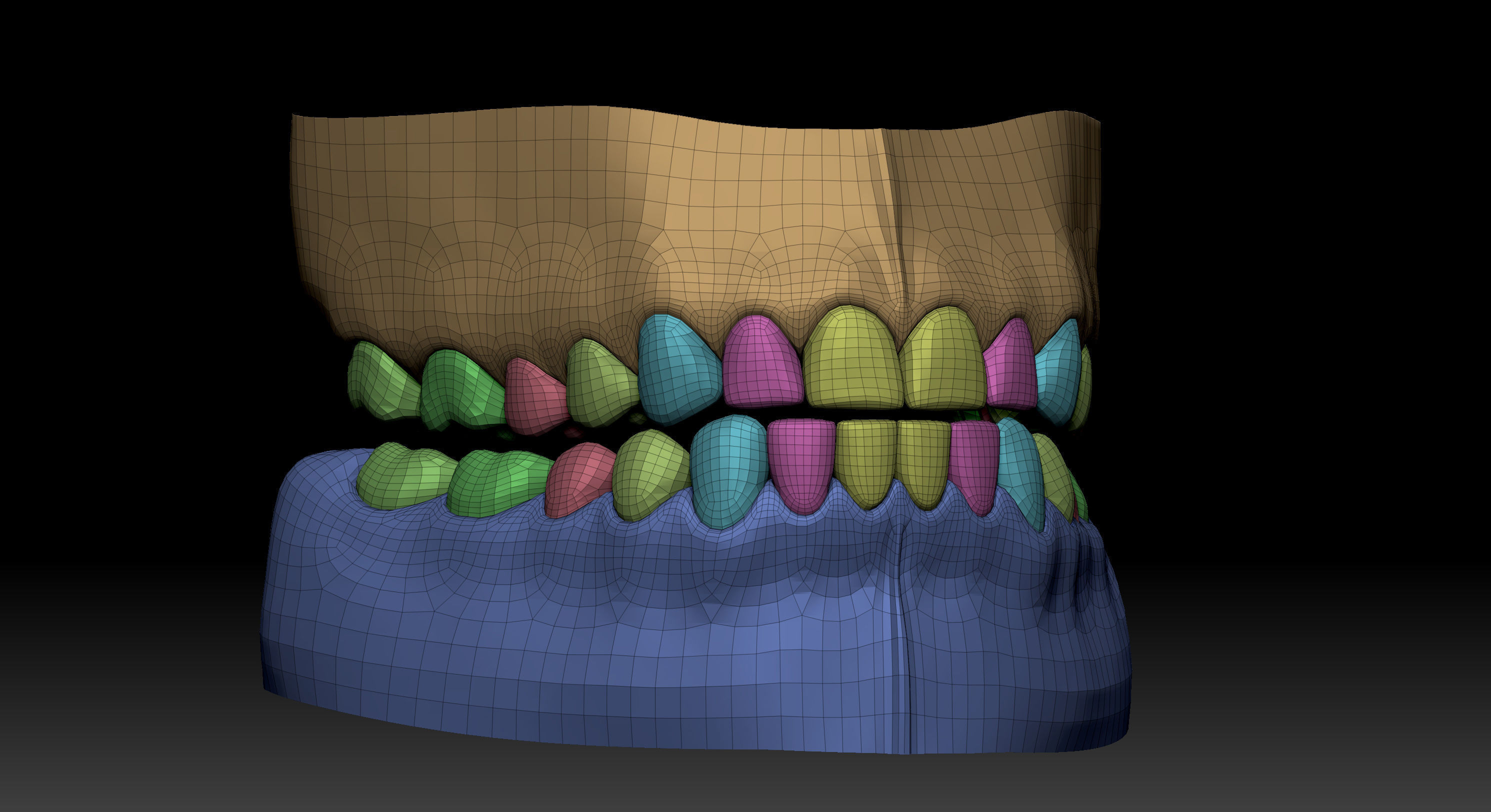 Body Parts BaseMeshes 3D model_14