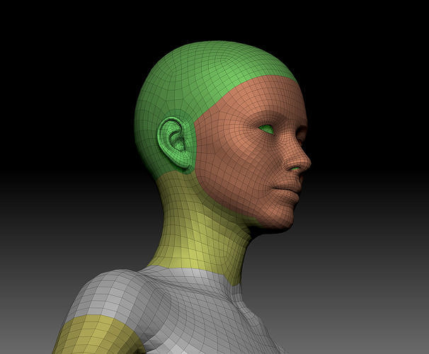 Body Parts BaseMeshes 3D model