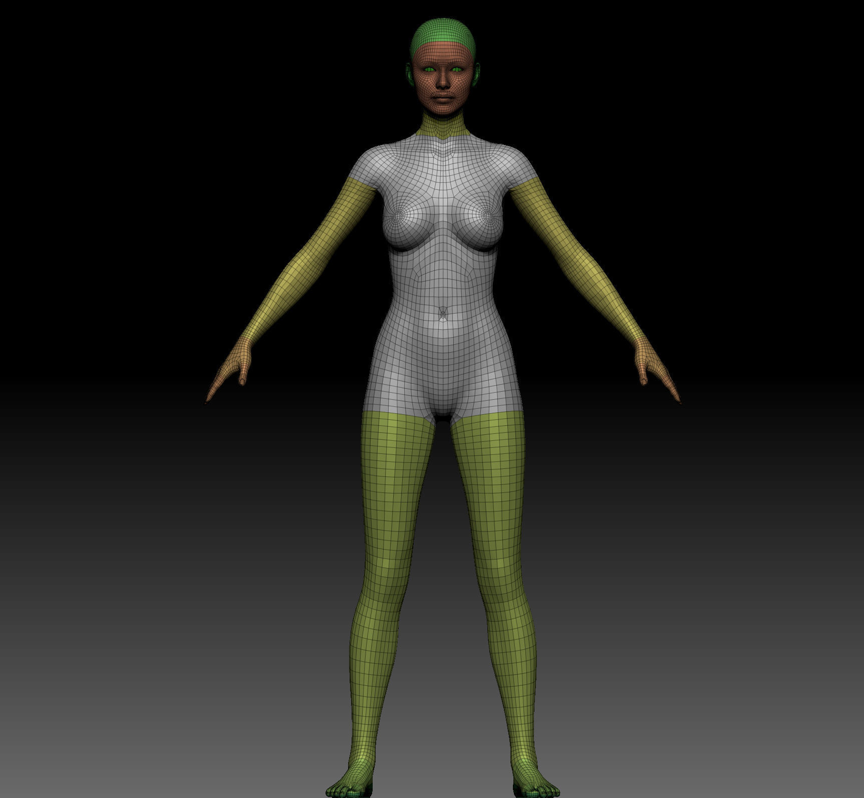 Body Parts BaseMeshes 3D model_1
