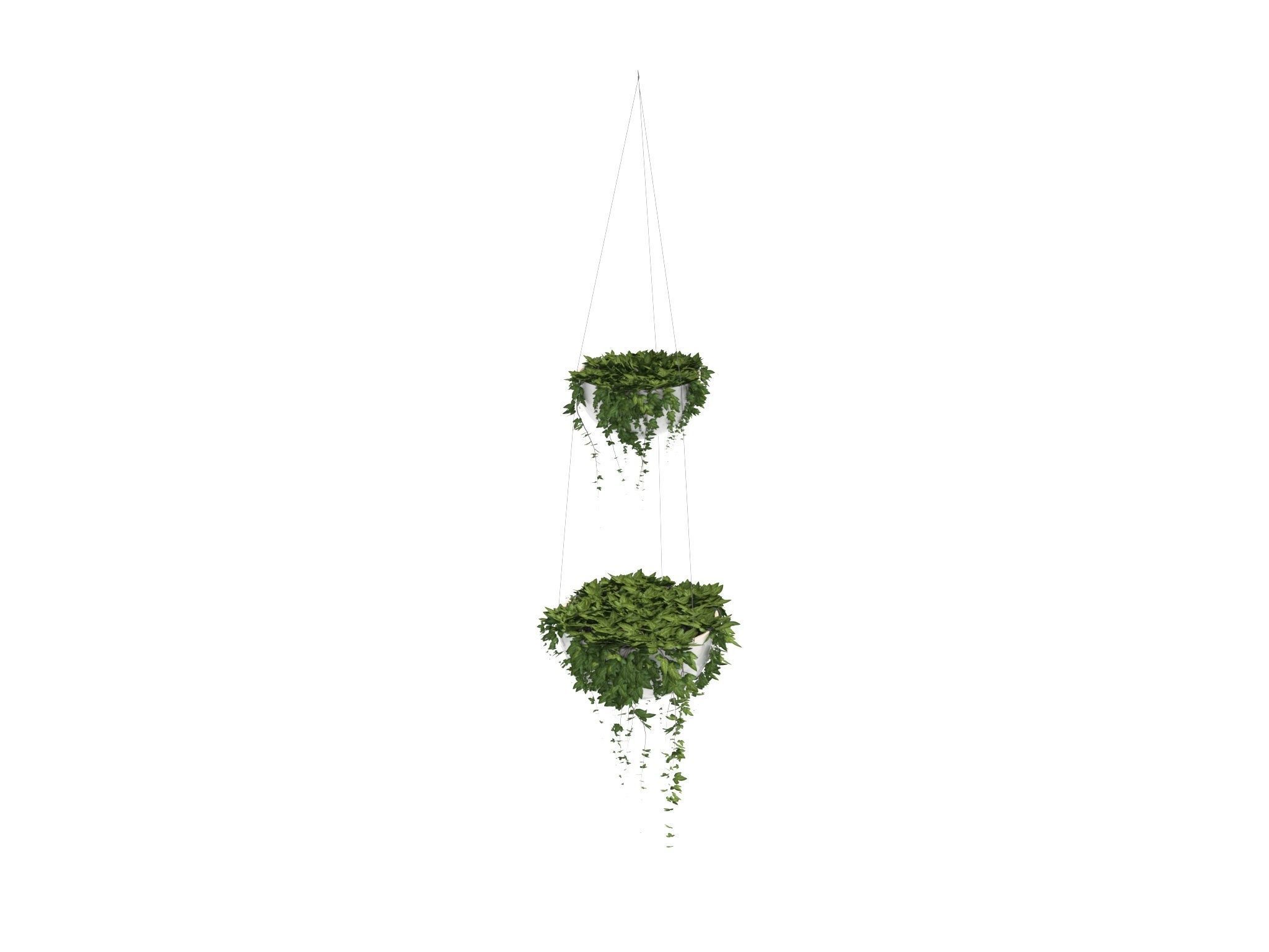 Ivy in hanging planter 3D model_10