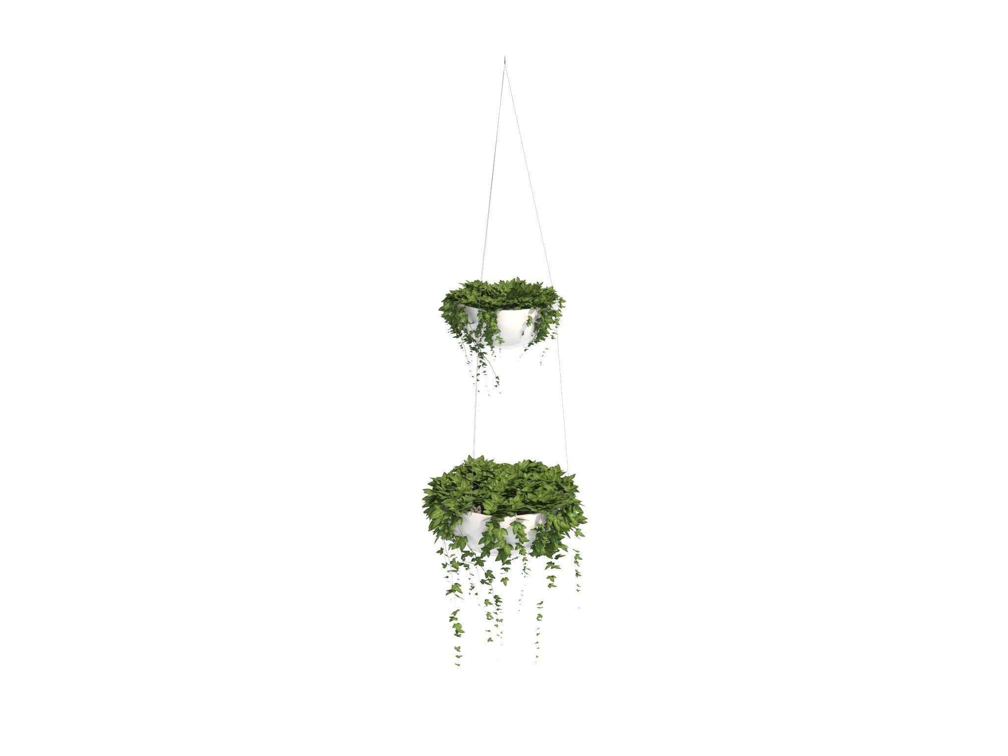 Ivy in hanging planter 3D model_2