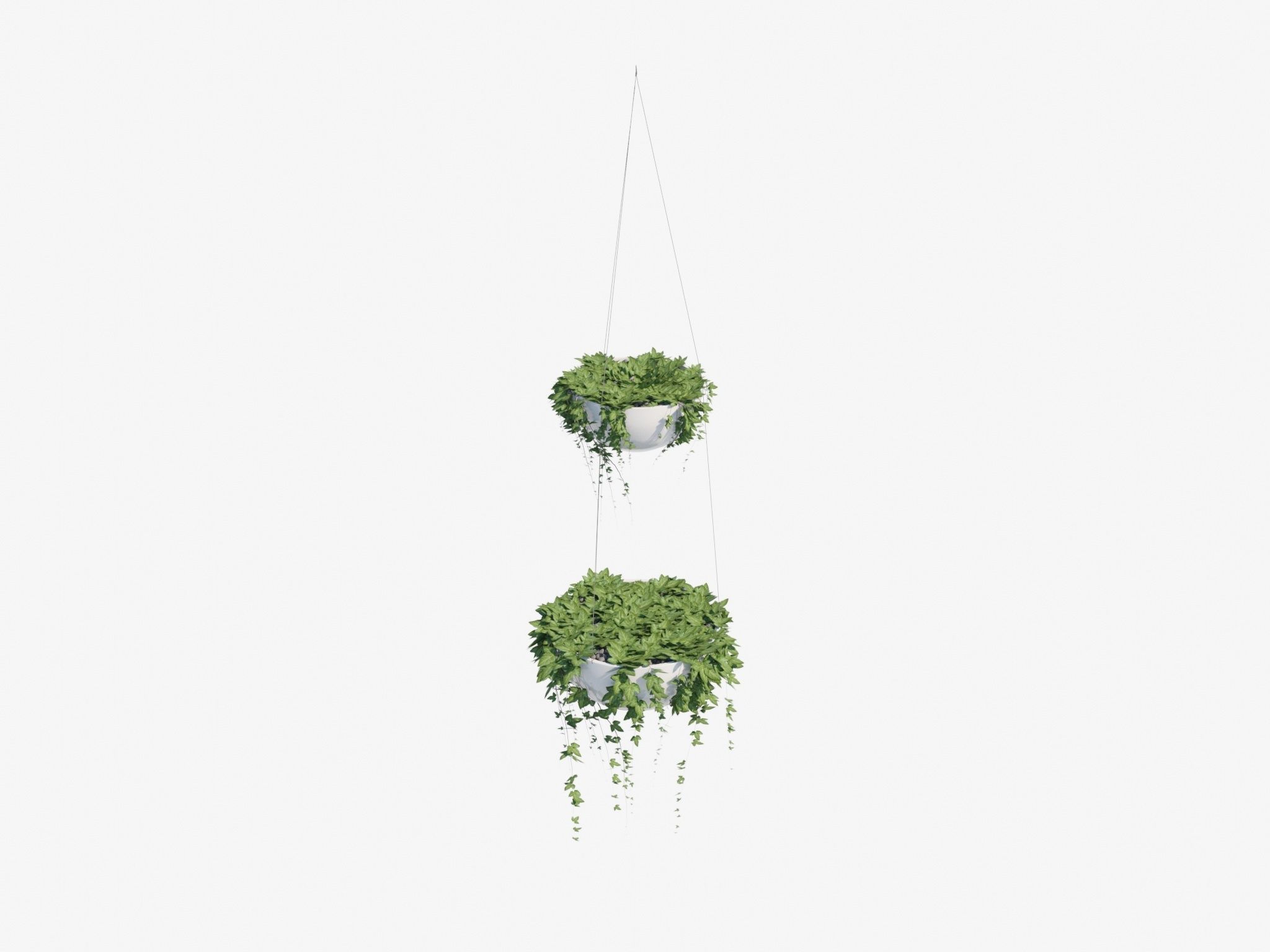 Ivy in hanging planter 3D model_15