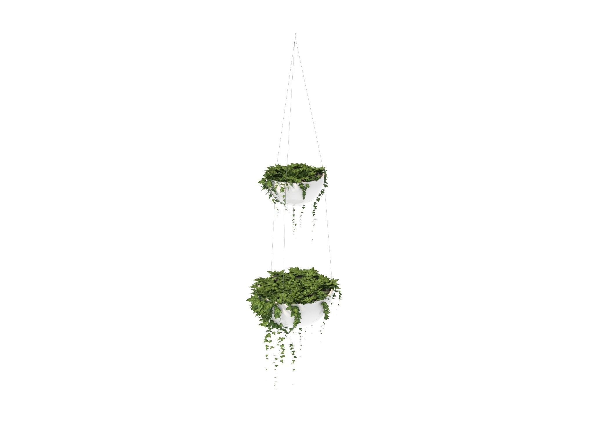 Ivy in hanging planter 3D model_5