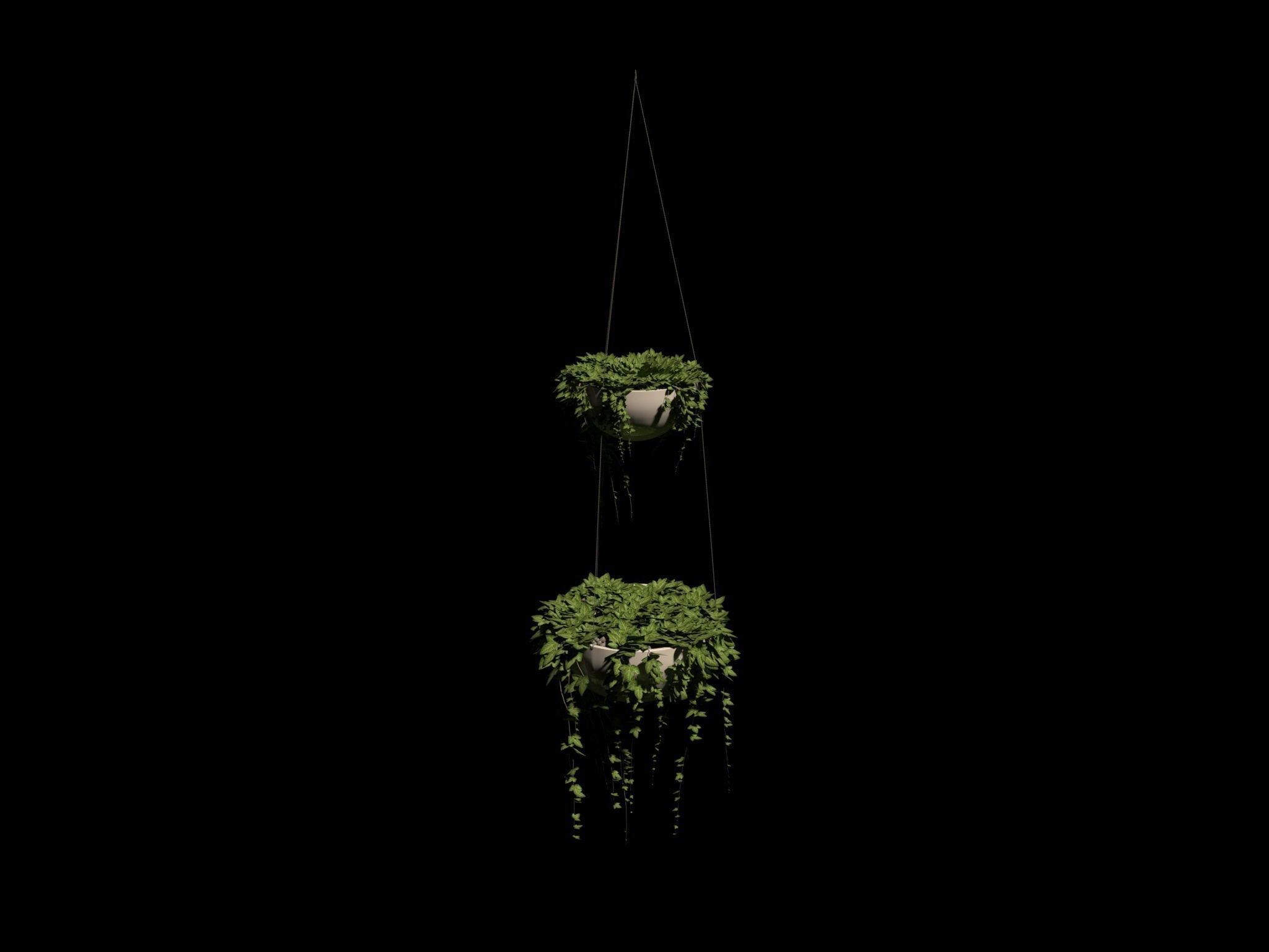 Ivy in hanging planter 3D model_14