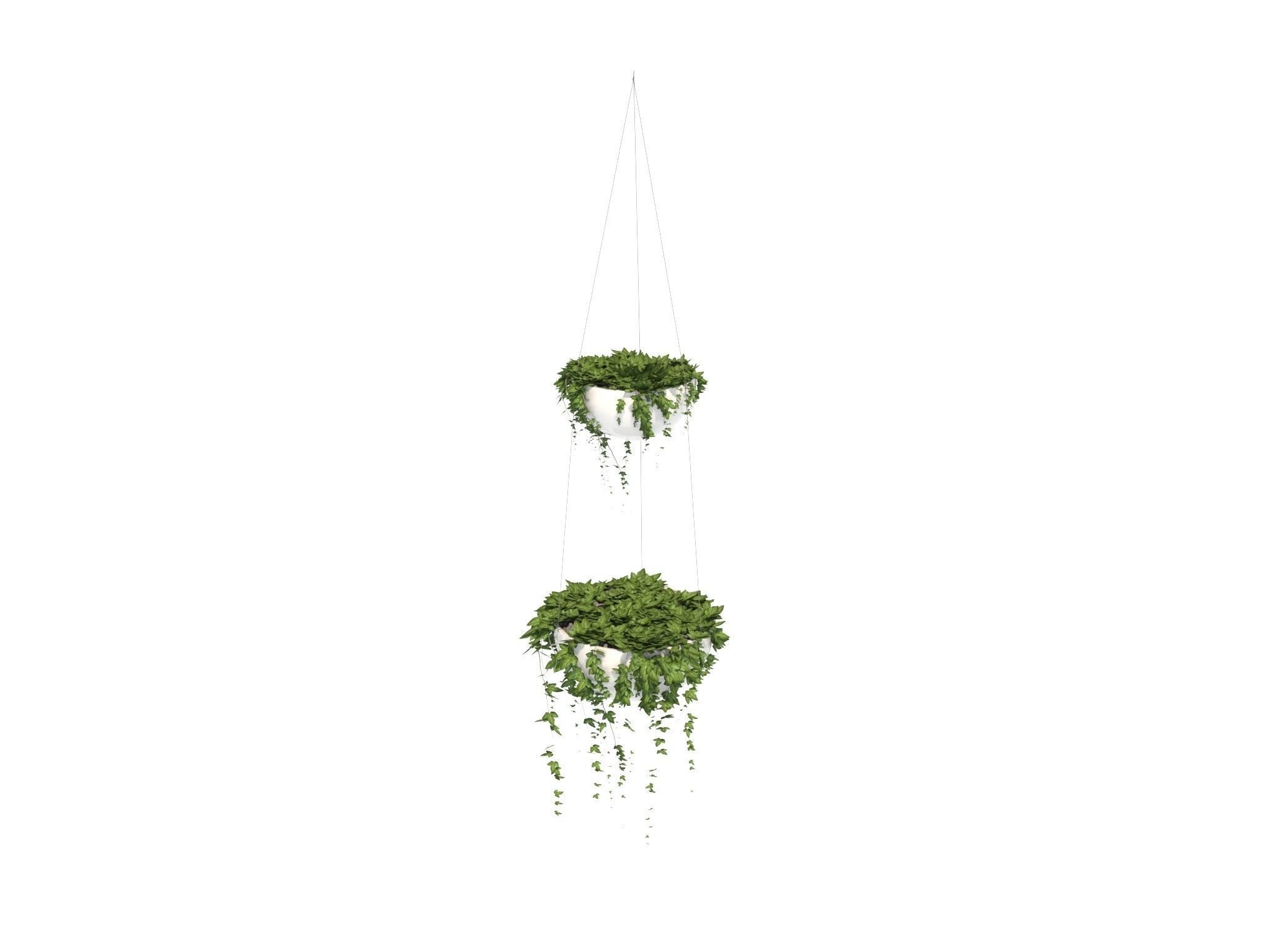 Ivy in hanging planter 3D model_3