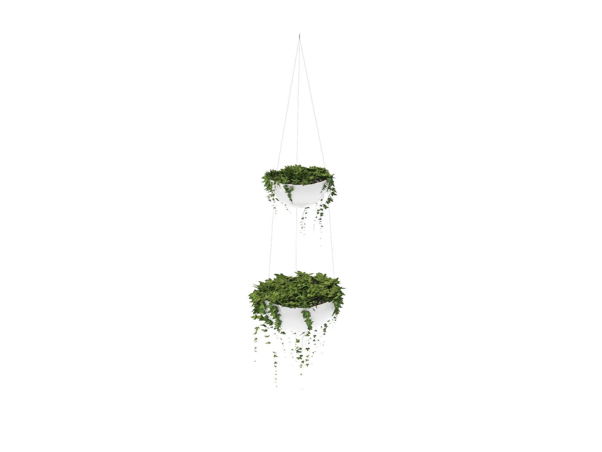 Ivy in hanging planter 3D model_6