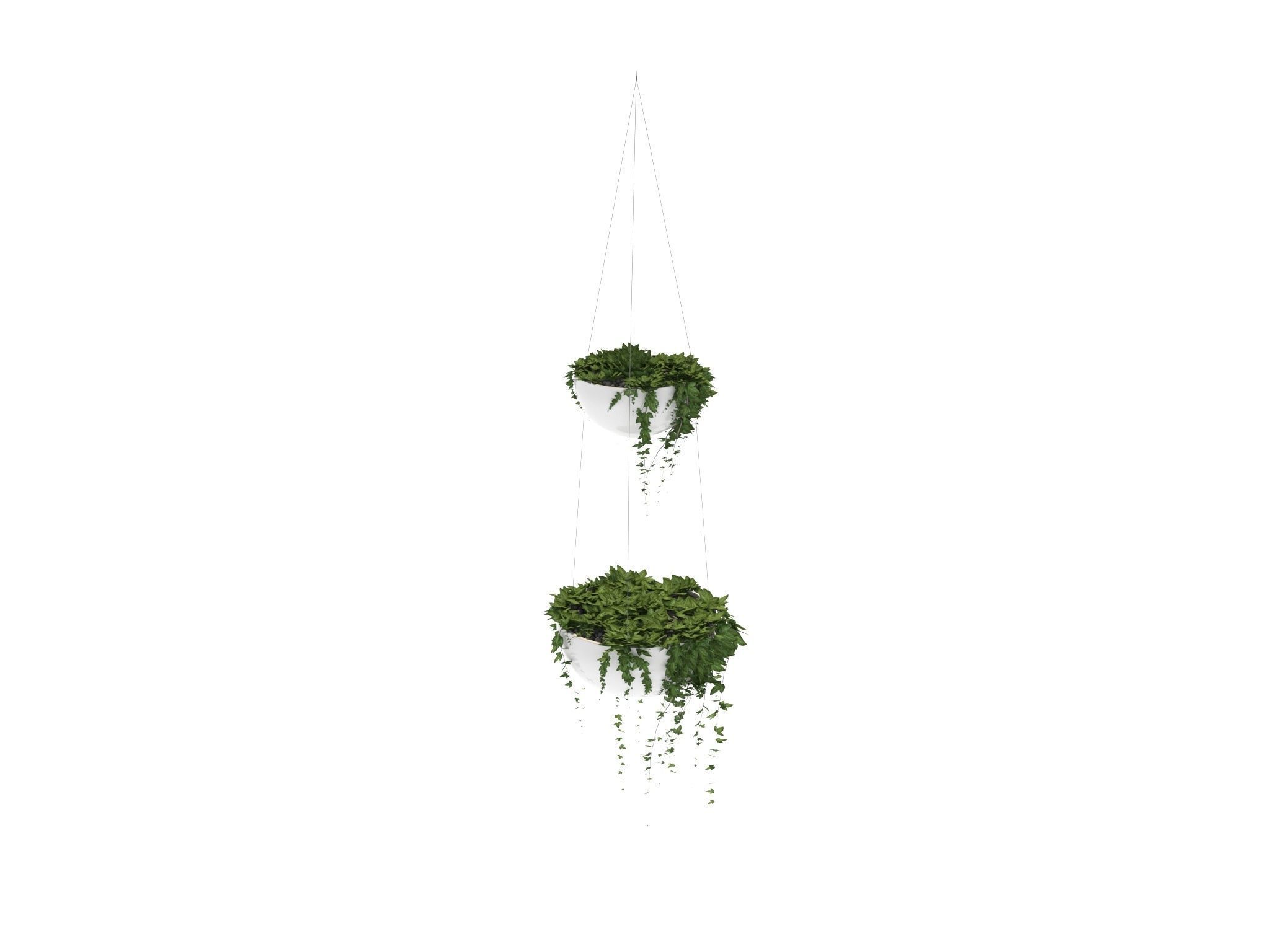 Ivy in hanging planter 3D model_8