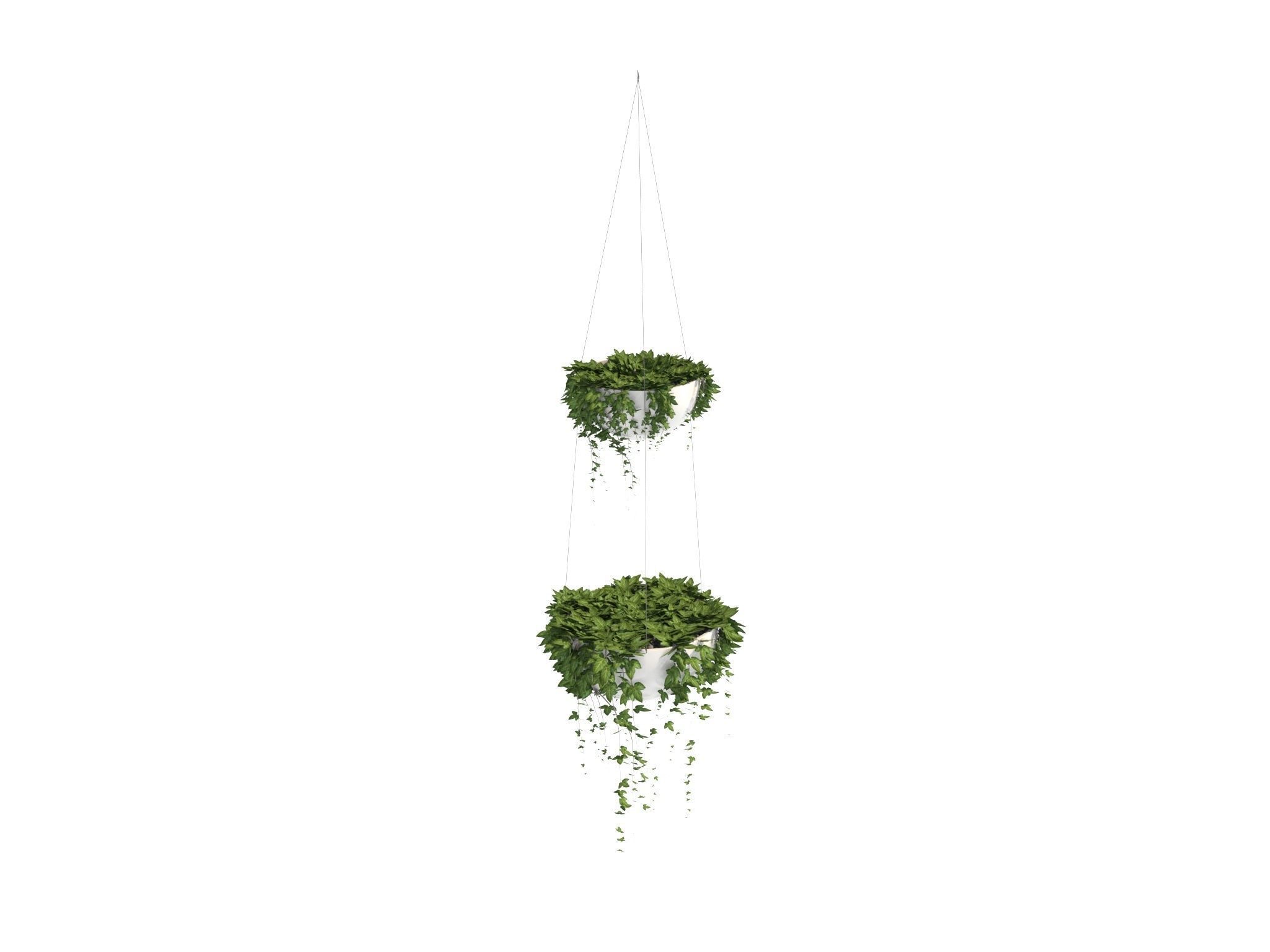 Ivy in hanging planter 3D model_11