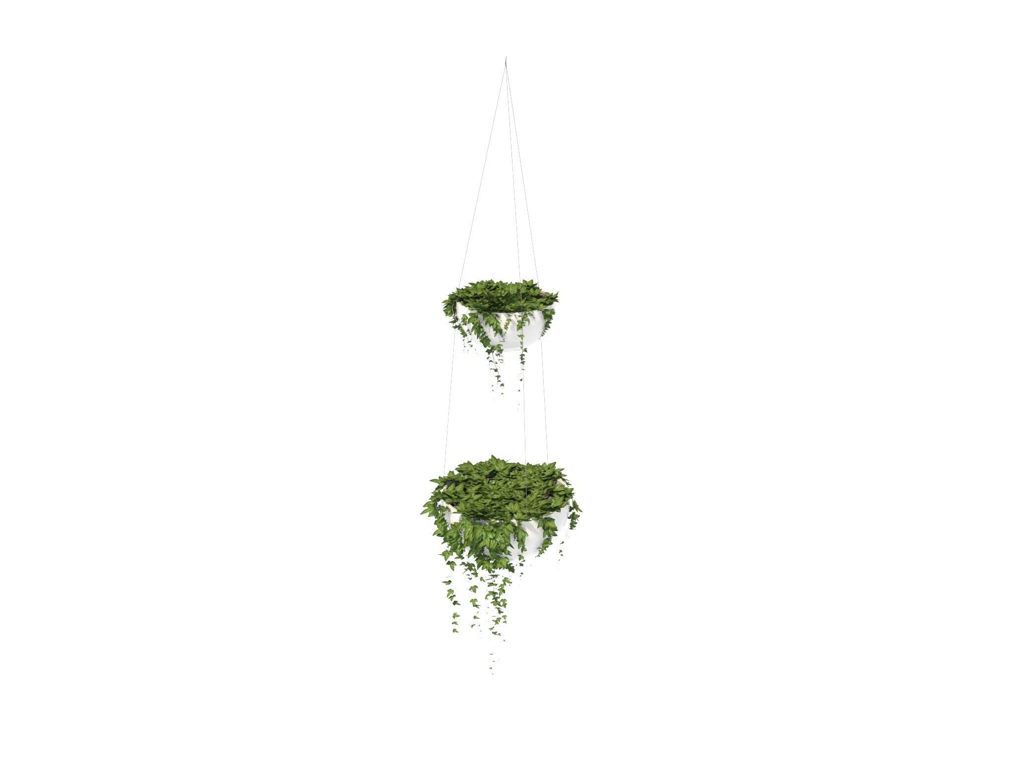 Ivy in hanging planter 3D model_4