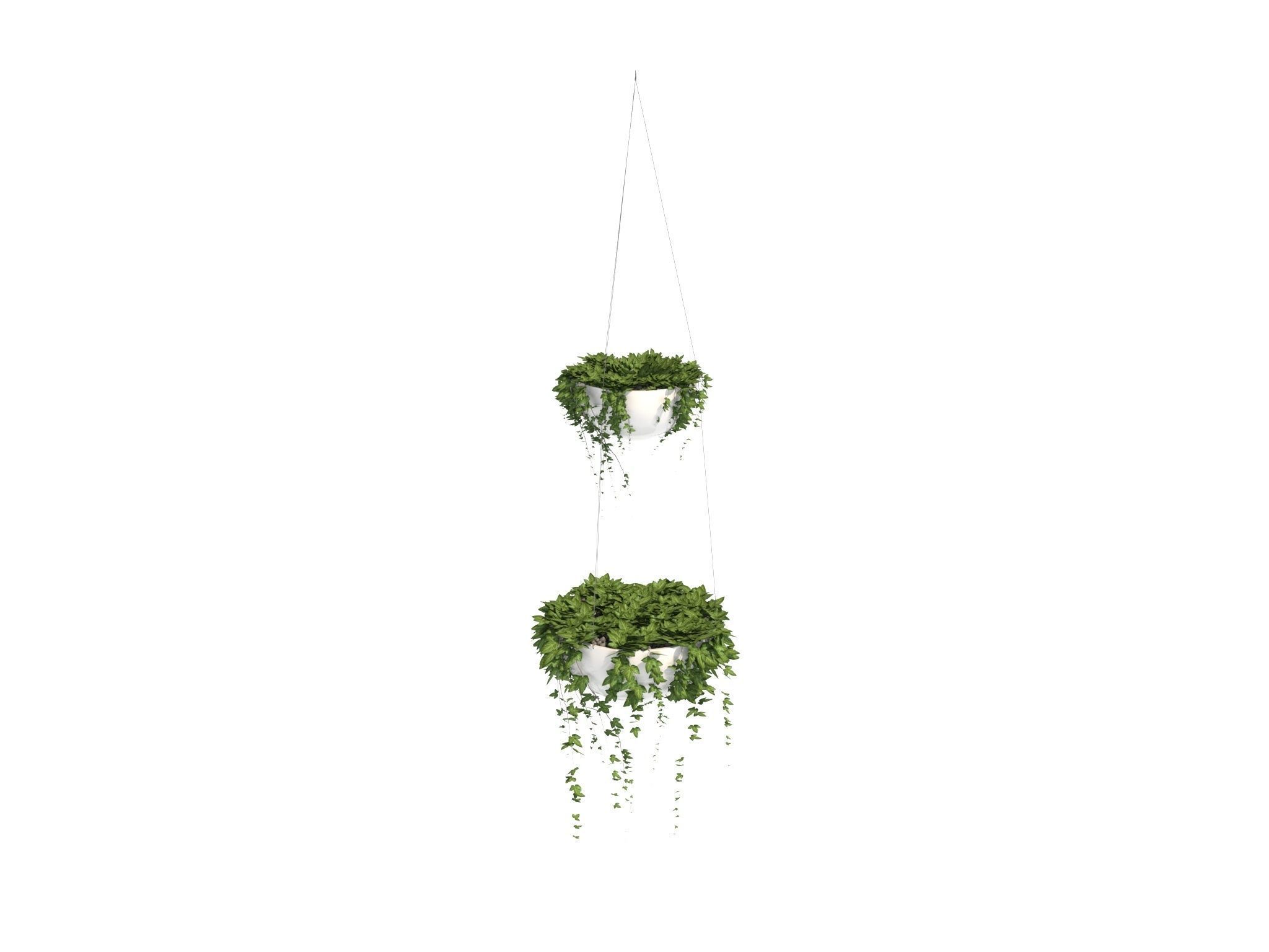Ivy in hanging planter 3D model_12