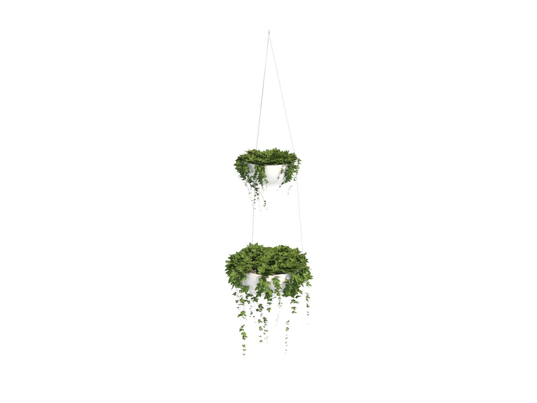 Ivy in hanging planter 3D model_13