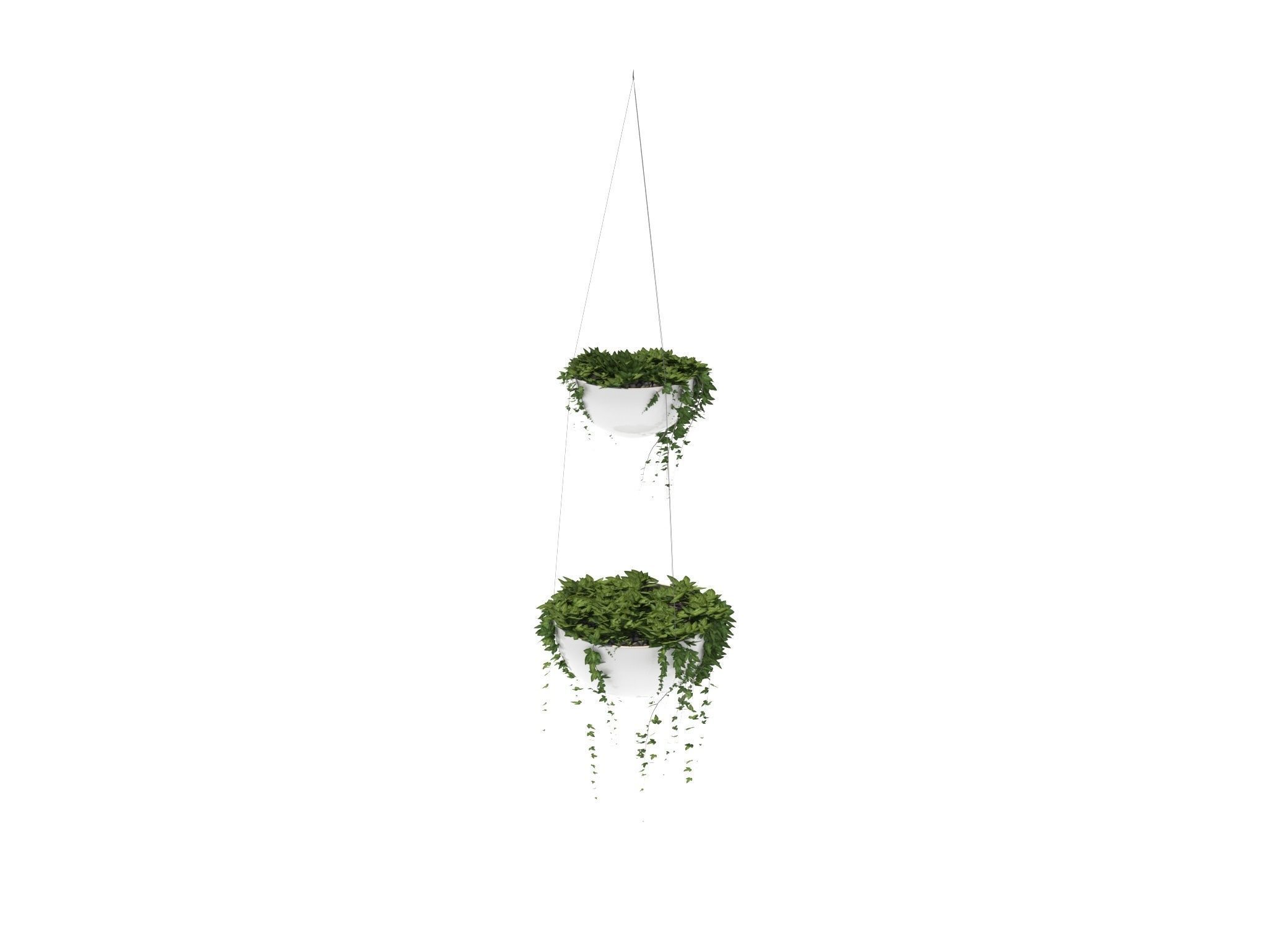 Ivy in hanging planter 3D model_7
