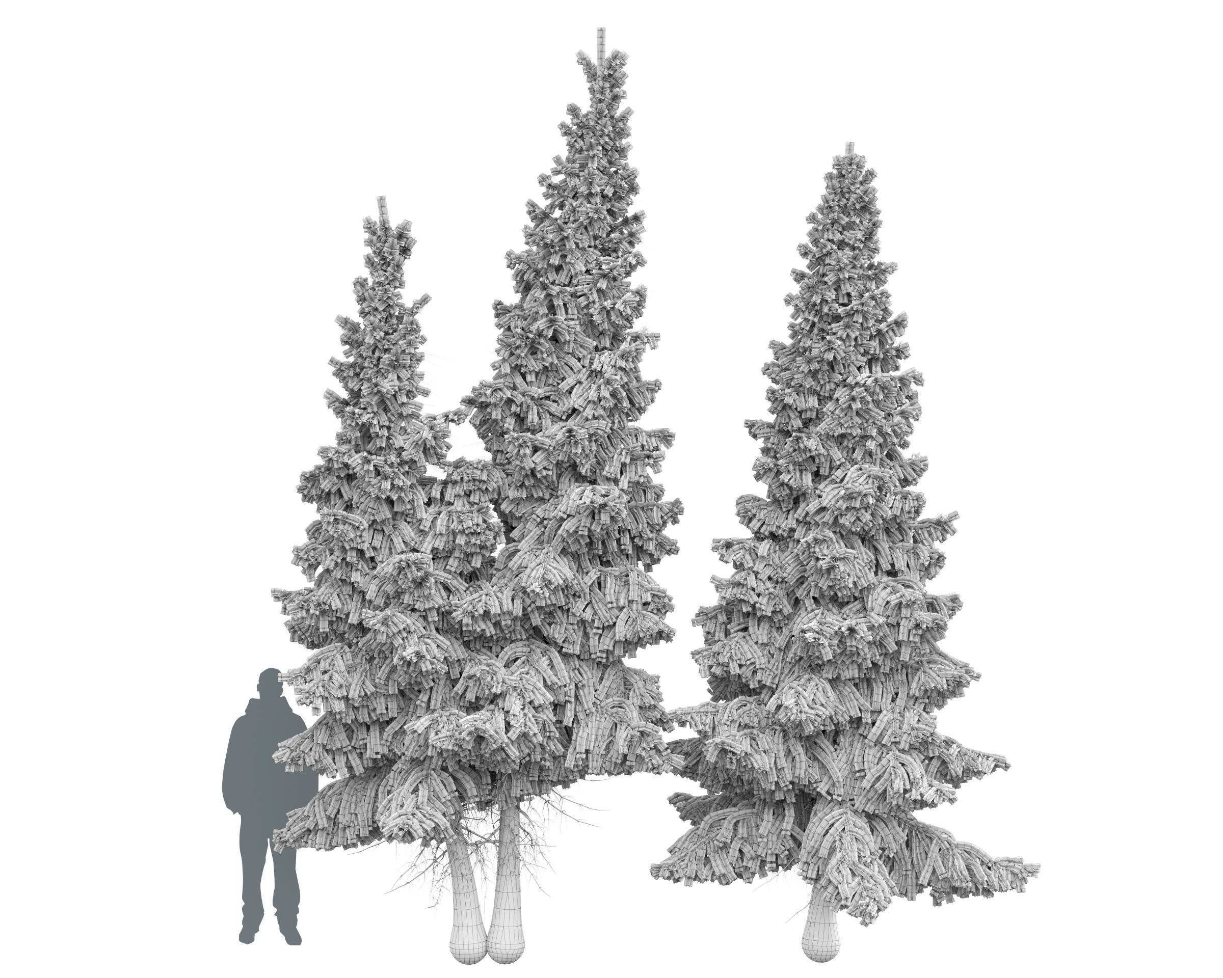 Siberian spruce Picea obovata 4m and 5m 3D model_6