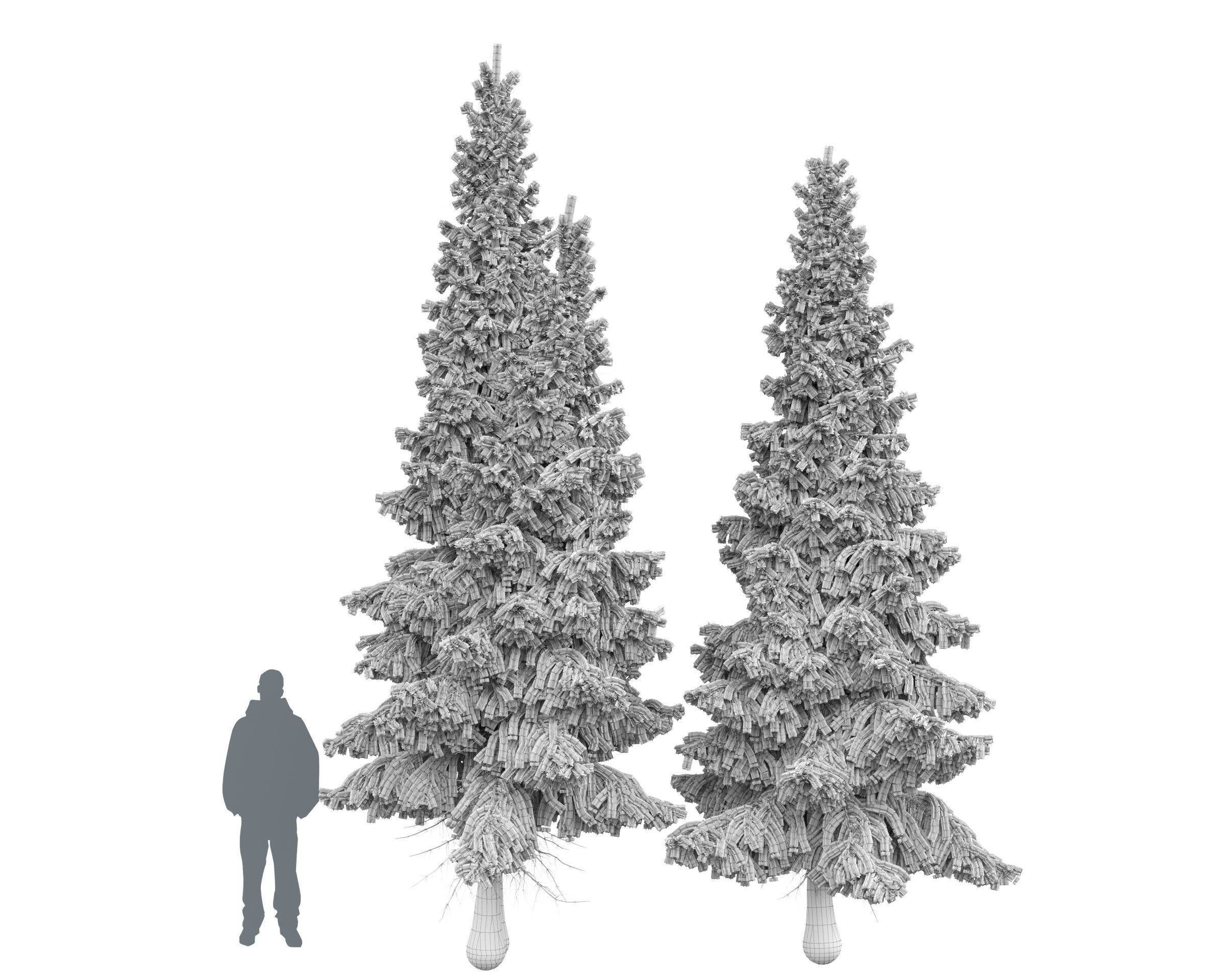 Siberian spruce Picea obovata 4m and 5m 3D model_9