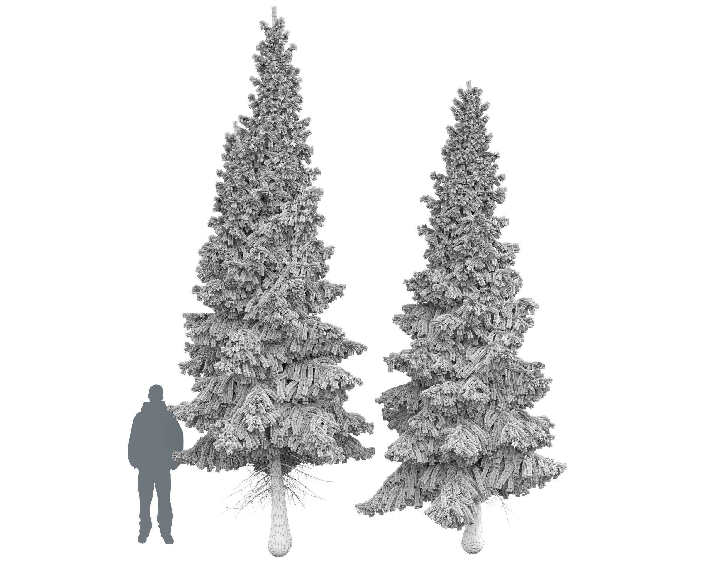 Siberian spruce Picea obovata 4m and 5m 3D model_15
