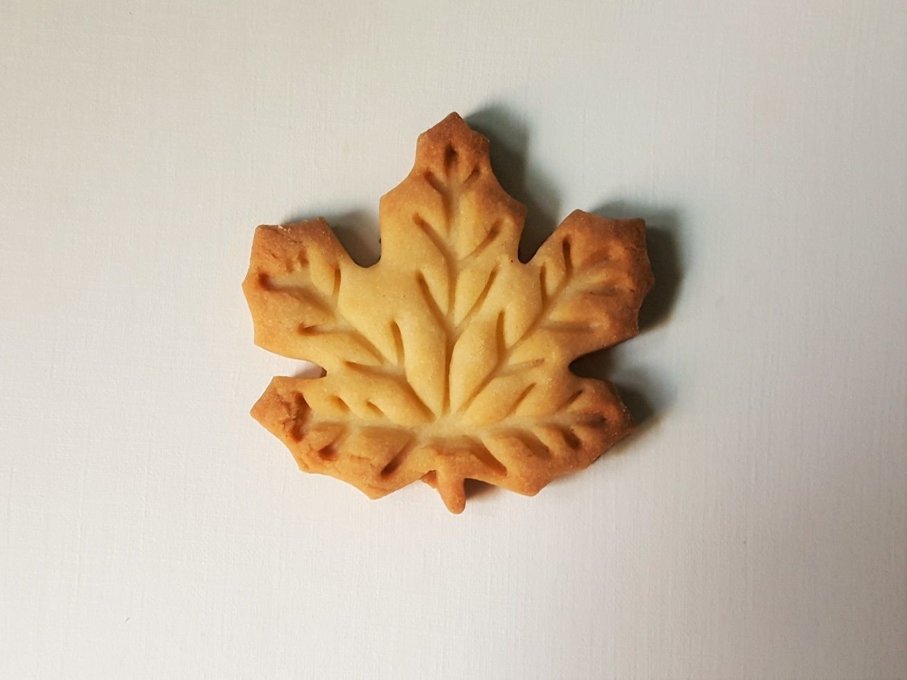 Maple leaf cookie cutter 3D print model_1