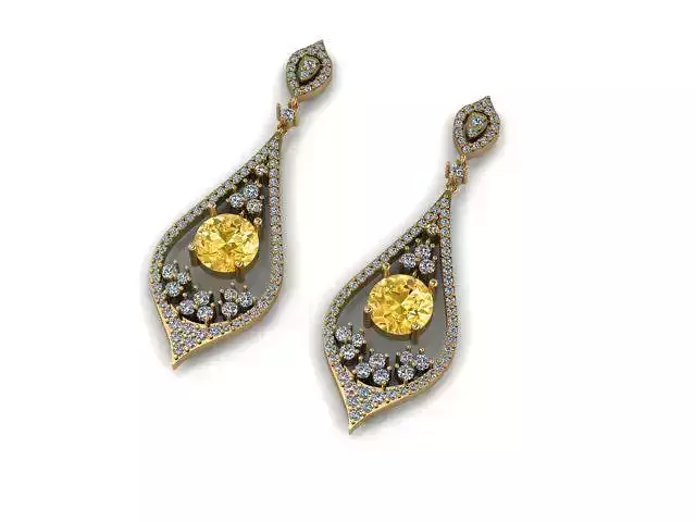 Earrings 14