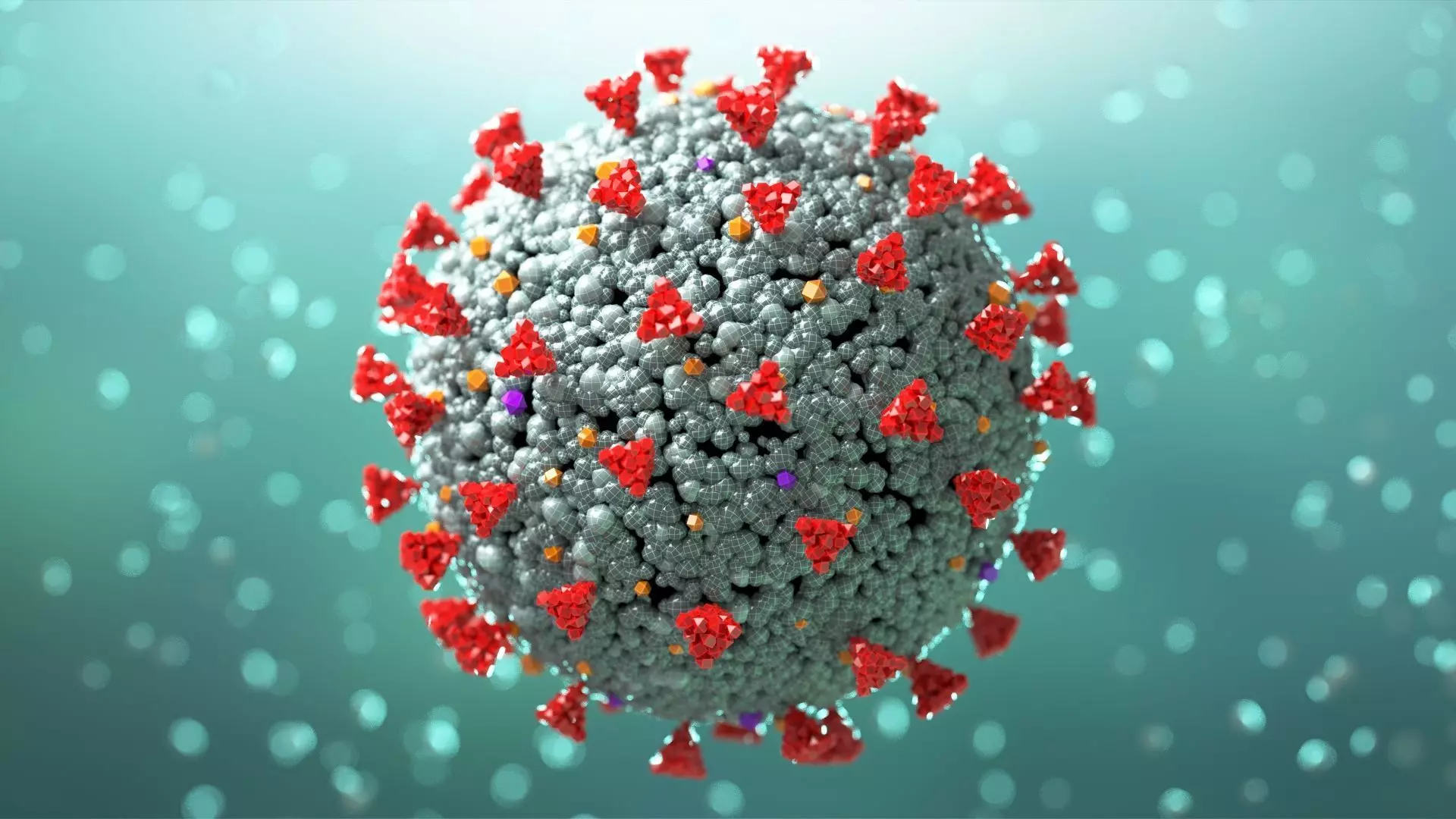 Covid-19 Coronavirus 3D model 3D model