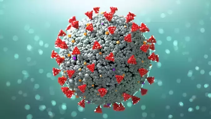 Covid-19 Coronavirus 3D model 3D model