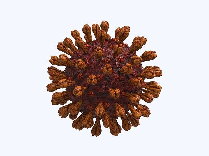 Coronavirus Disease 19 3D model
