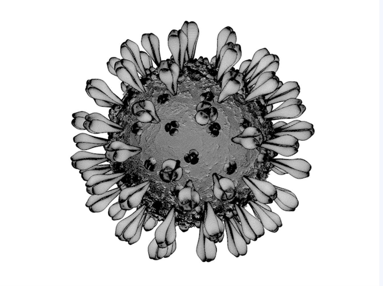 Coronavirus Disease 19 3D model_5