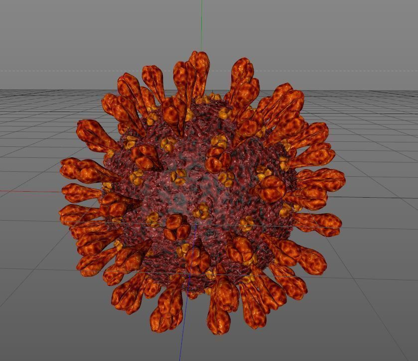 Coronavirus Disease 19 3D model_4