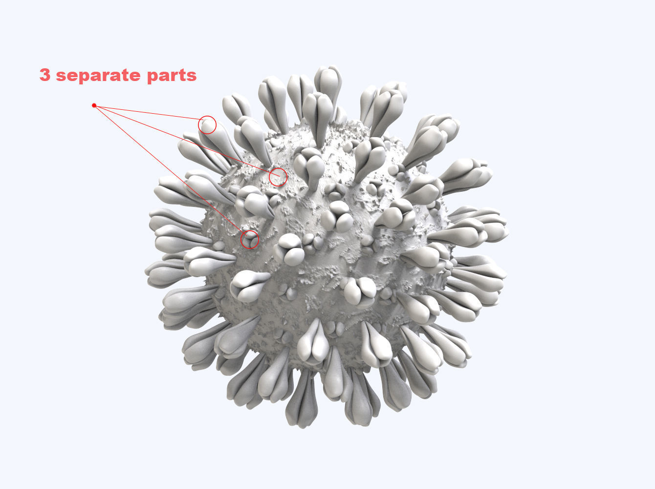 Coronavirus Disease 19 3D model_2