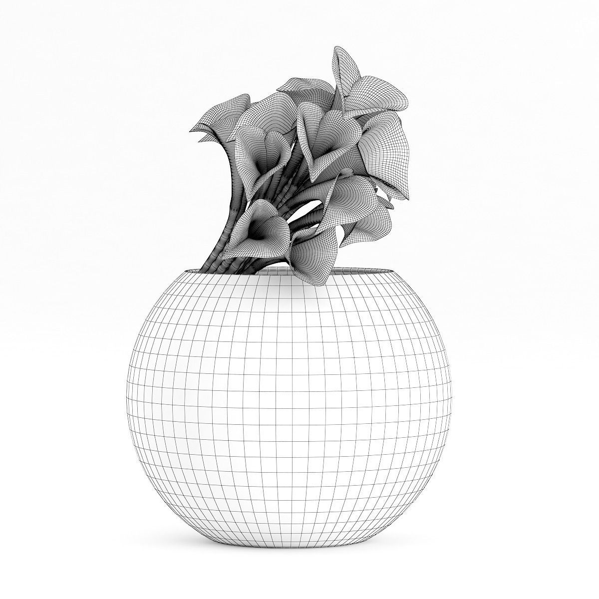 Calla Lilies in Spherical Vase 3D model_1