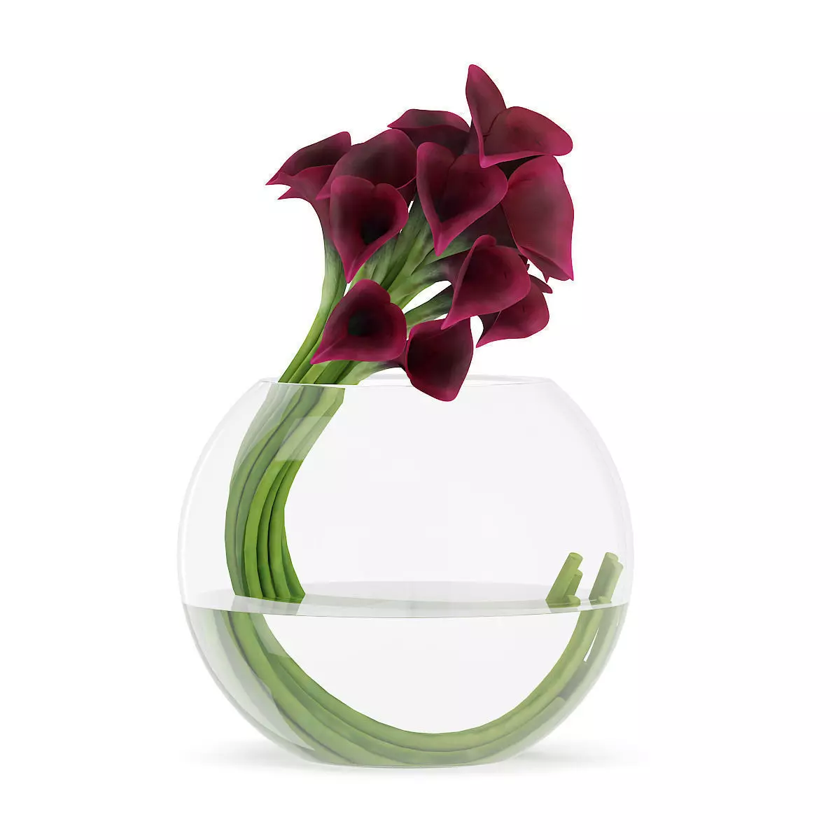 Calla Lilies in Spherical Vase 3D model_0