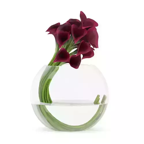 Calla Lilies in Spherical Vase 3D model