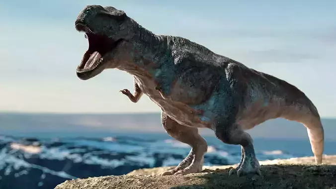 Tyrannosaurus Rex Rigged Animation Low-poly 3D model