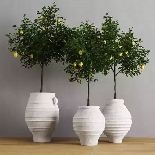Lemons In Traditional Mediterranean Vases