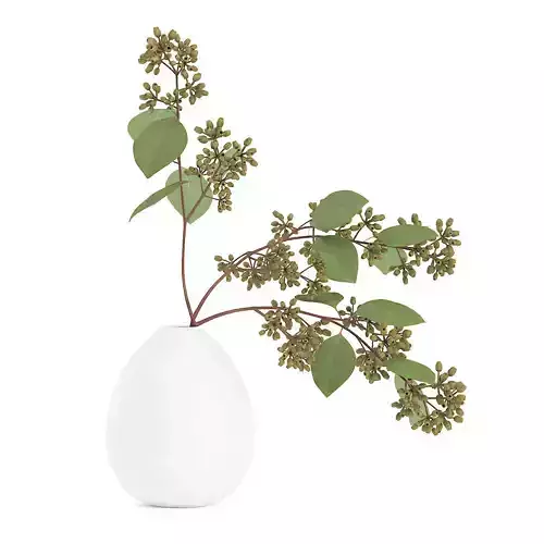 Sugar Gum Twigs in White Vase