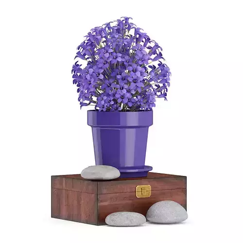 Purple Flowes on Wooden Box