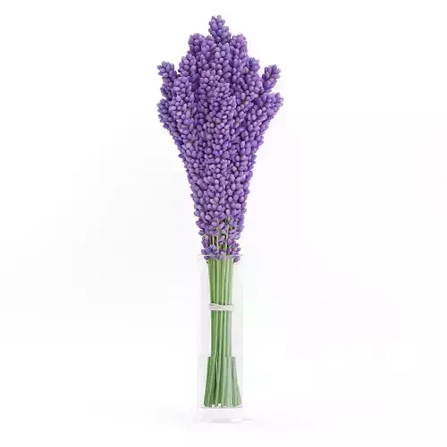 Violet Lupine in Glass Vase