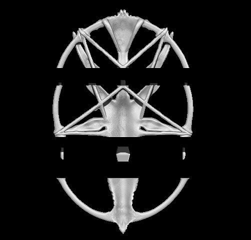 Medallion depicting the deity baphomet file STL OBJ  3D printers 3D print model_15