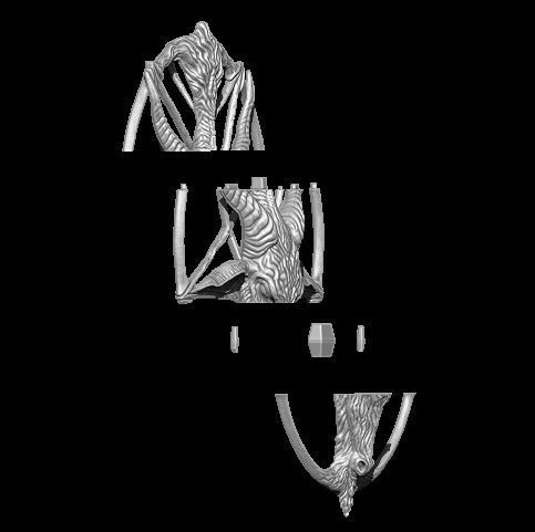 Medallion depicting the deity baphomet file STL OBJ  3D printers 3D print model_14