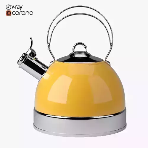 Stove Top Kettle