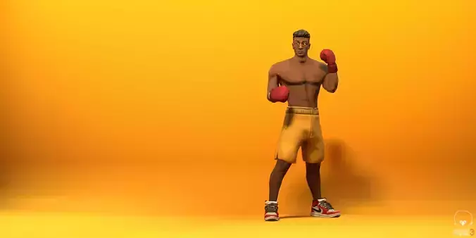 Stylized Boxer