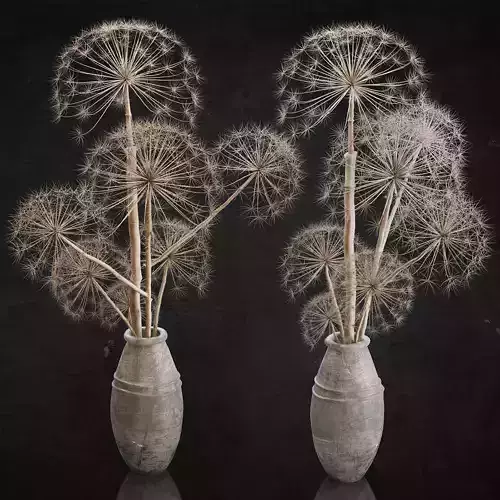 Decor set 11 Heracleum plant